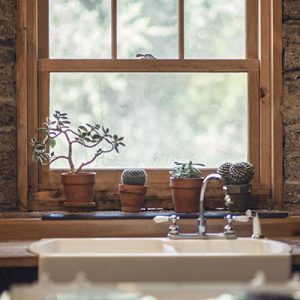 Kitchen-window-with-cactus-on-sill