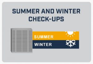 Summer and winter check-ups