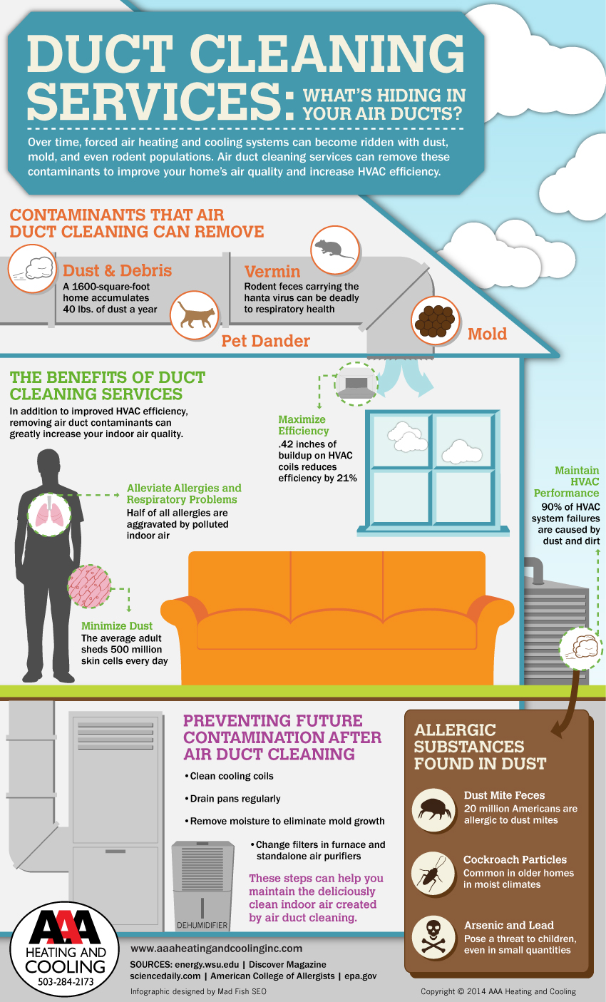 Duct cleaning infographic