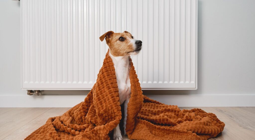 is gas or electric heating better